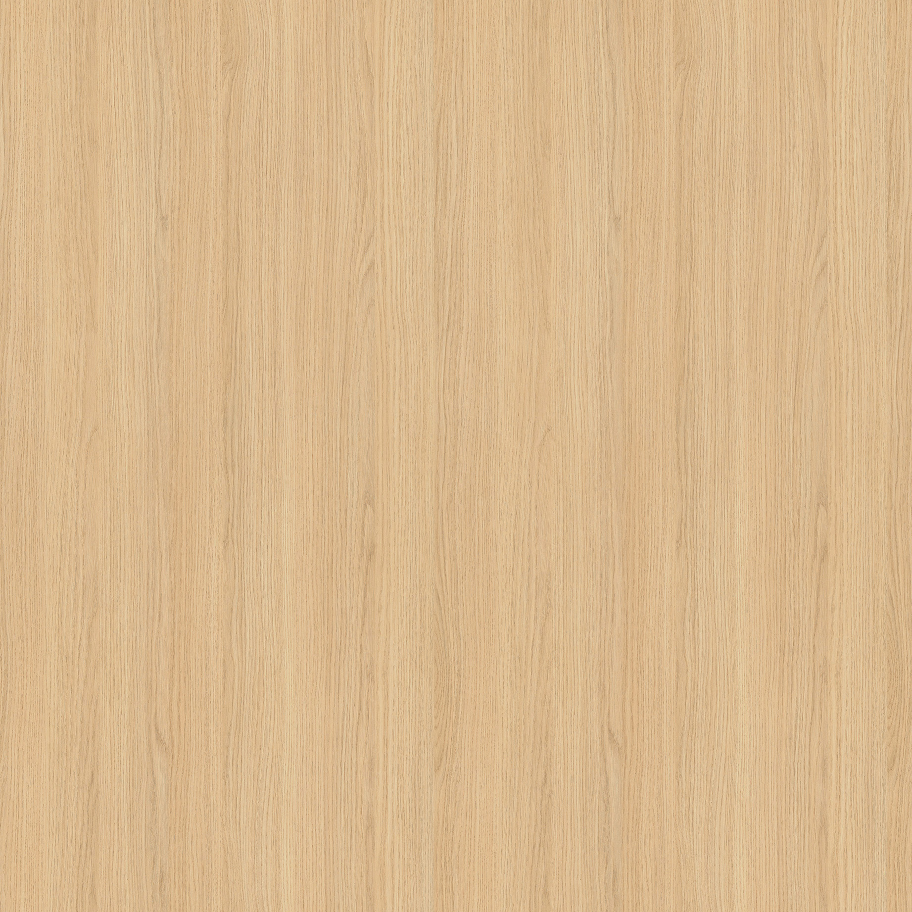 Chene vicenza_CAO.jpg